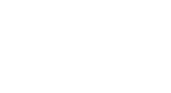 Palace Resorts logo