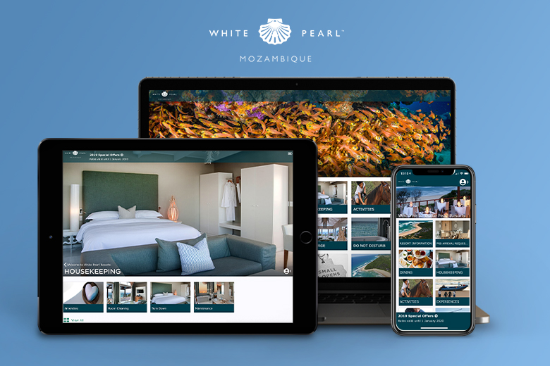 white pearl launches the intelity platform 