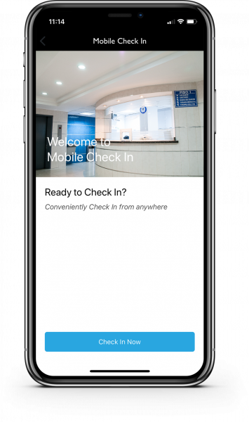 mobile check-in ui ready to check in